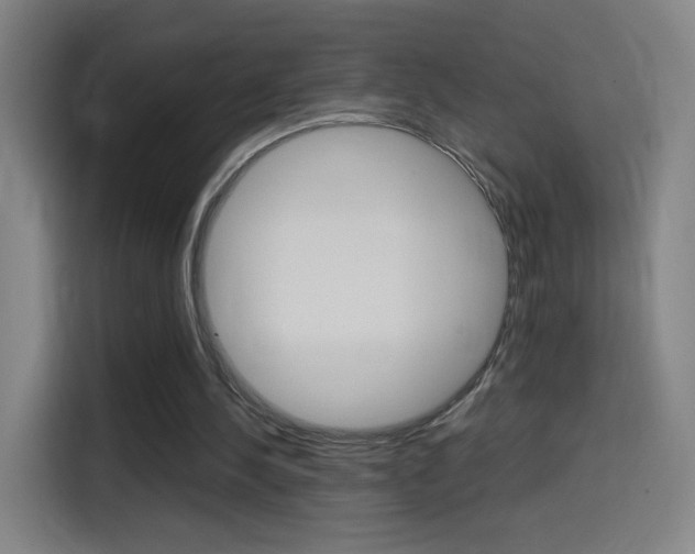X0000114560244200910191017