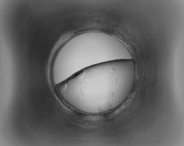 X0000114560245200910191017