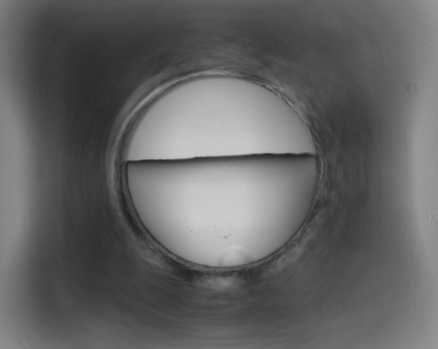 X0000114560247200910191017