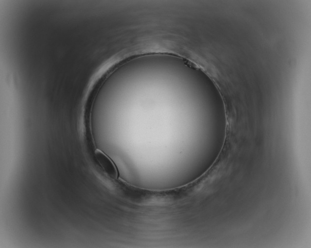 X0000114560248200910191017