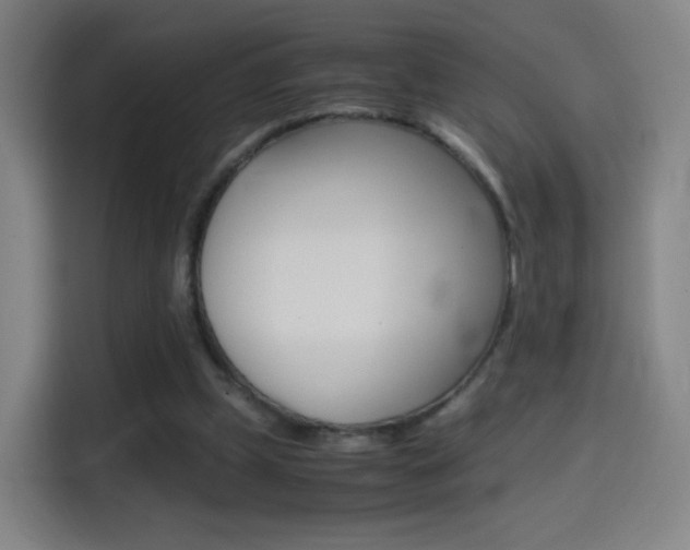 X0000114560249200910191017