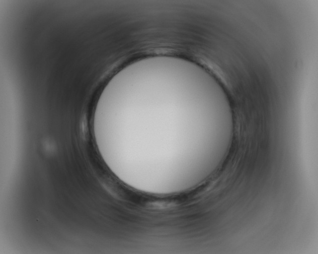 X0000114560251200910191017