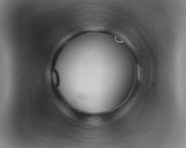 X0000114560252200910191017