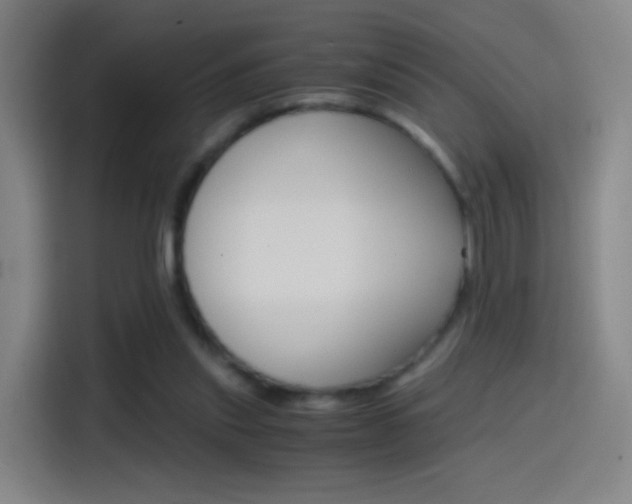 X0000114560253200910191017