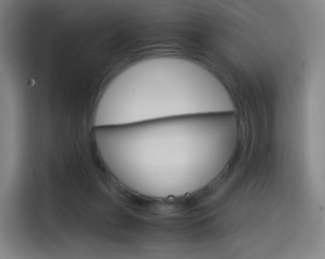 X0000114560255200910191017