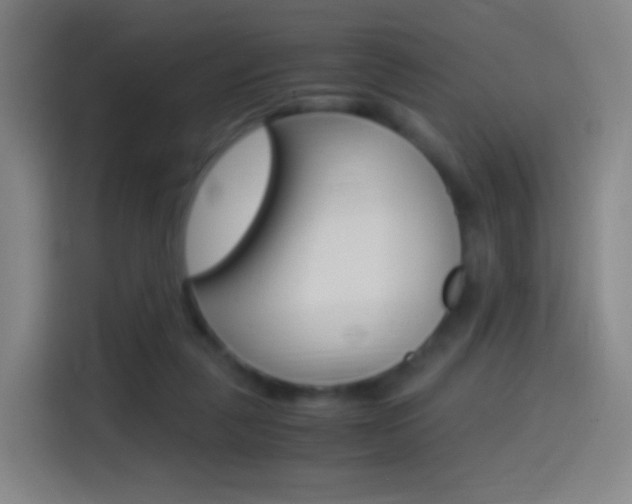 X0000114560259200910191017