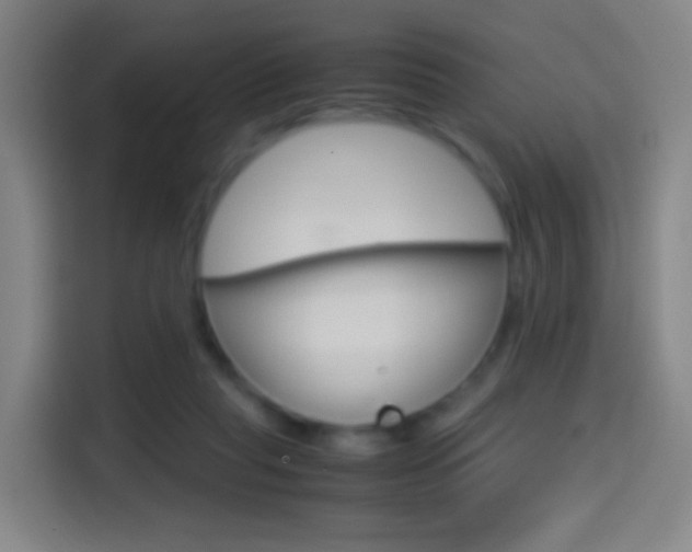 X0000114560261200910191017