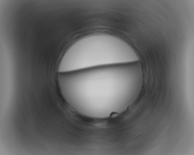 X0000114560263200910191017