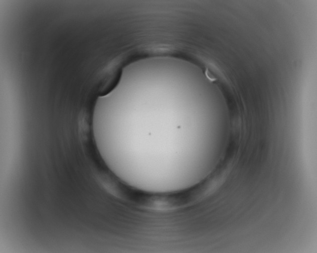 X0000114560264200910191017