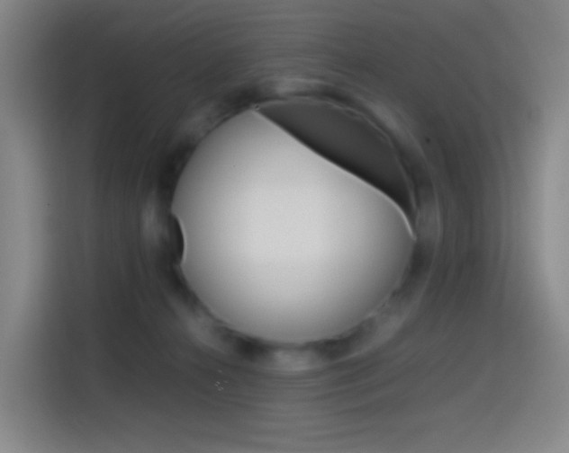 X0000114560272200910191017