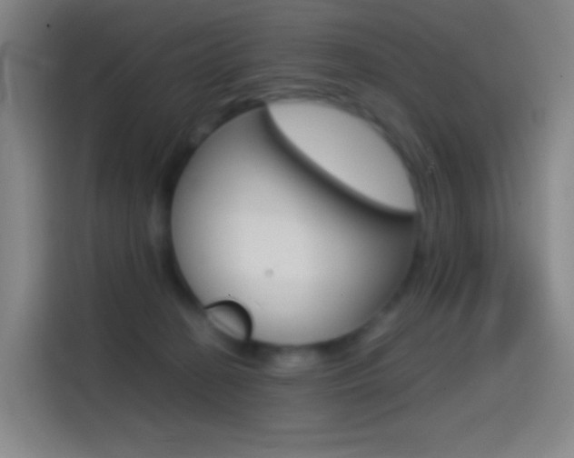X0000114560274200910191017