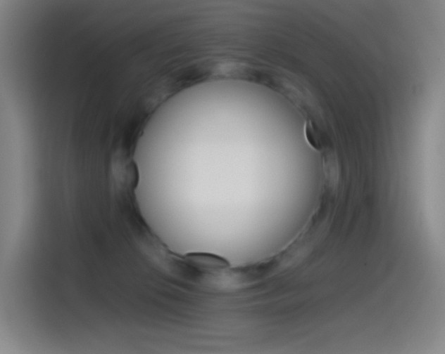 X0000114560276200910191017