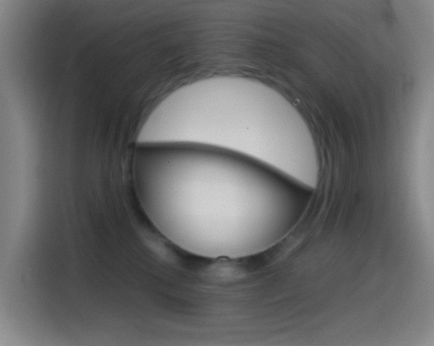 X0000114560280200910191017