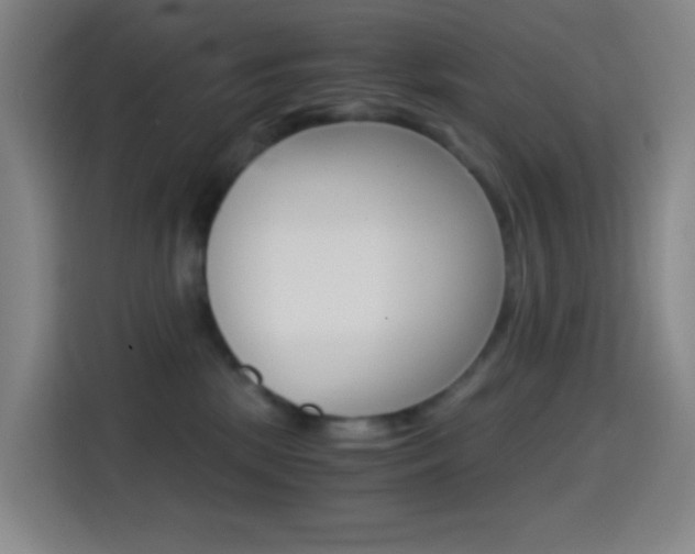 X0000114560281200910191017