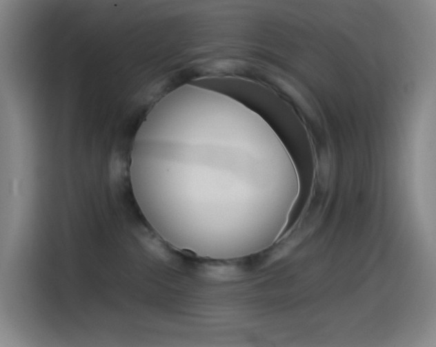 X0000114560284200910191017