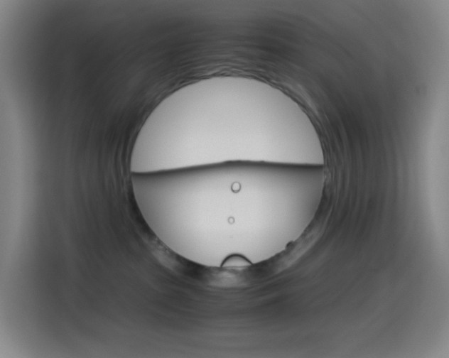 X0000114560285200910191017