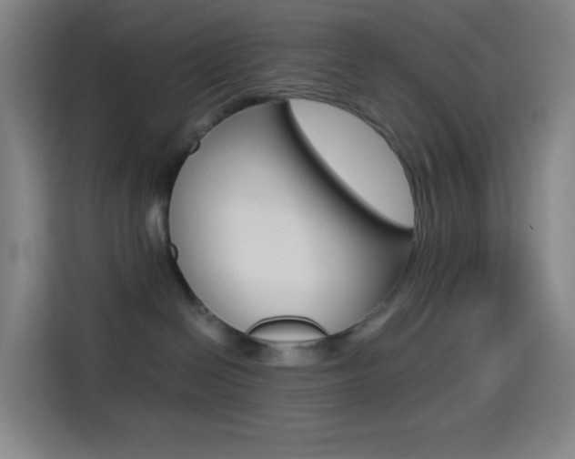 X0000114560286200910191017