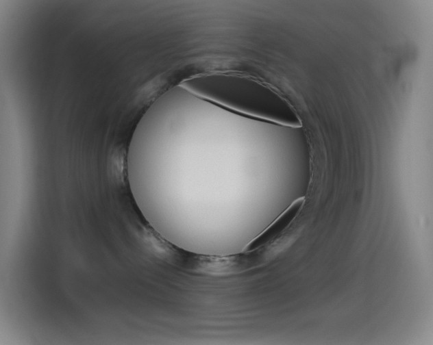 X0000114560288200910191017