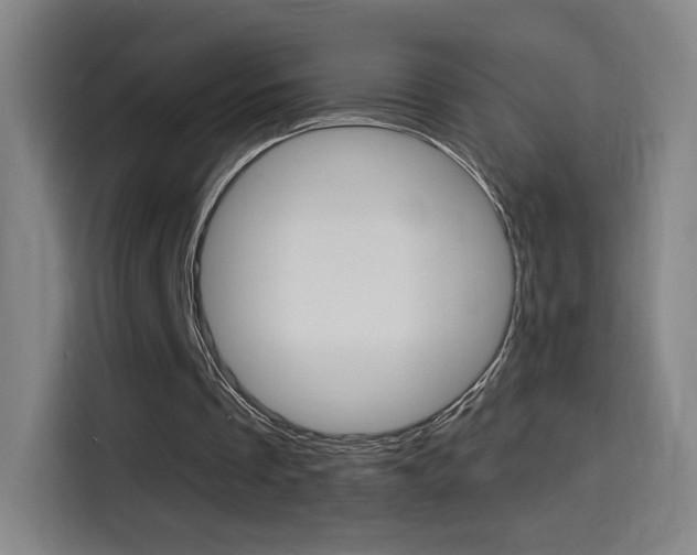 X0000114560289200910191017