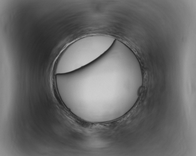 X0000114560290200910191017