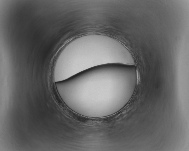 X0000114560291200910191017
