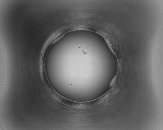 X0000114560293200910191017