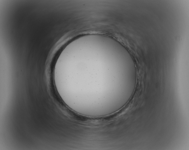X0000114560295200910191017