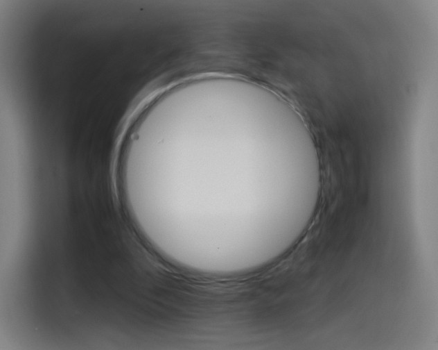 X0000114560296200910191017