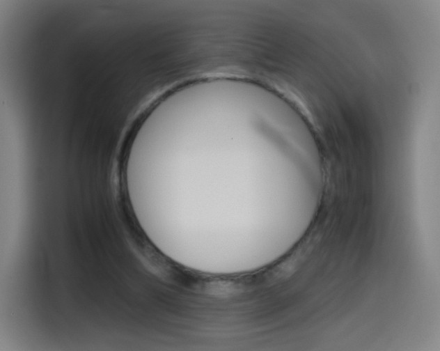 X0000114560298200910191017