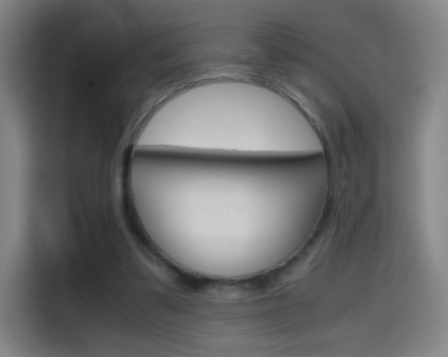 X0000114560299200910191017