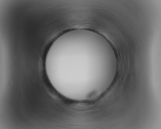 X0000114560303200910191017