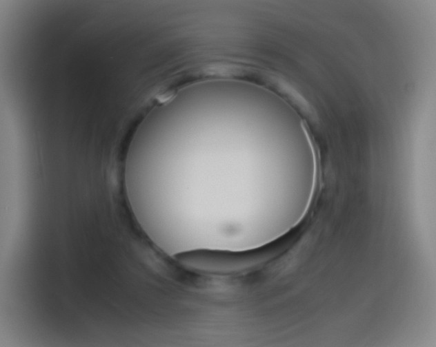 X0000114560305200910191017