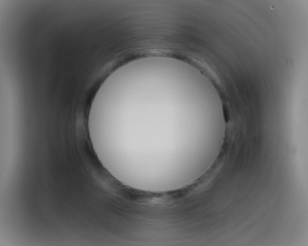 X0000114560306200910191017