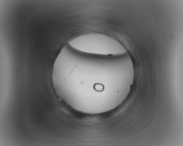 X0000114560307200910191016
