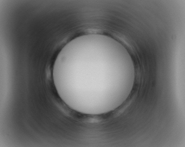 X0000114560310200910191016