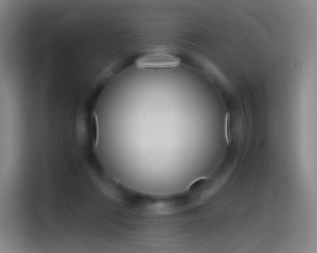 X0000114560312200910191016