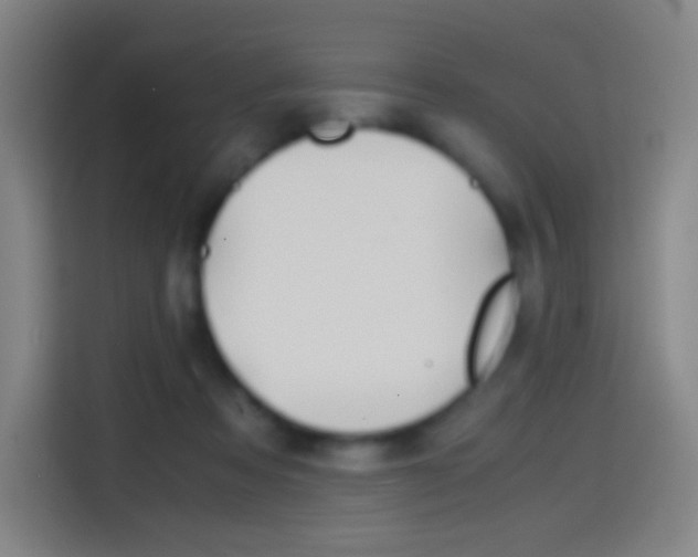 X0000114560313200910191016