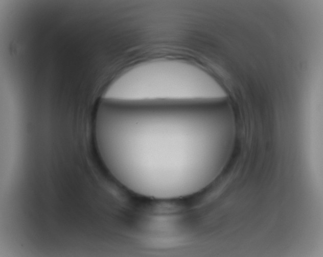 X0000114560315200910191016