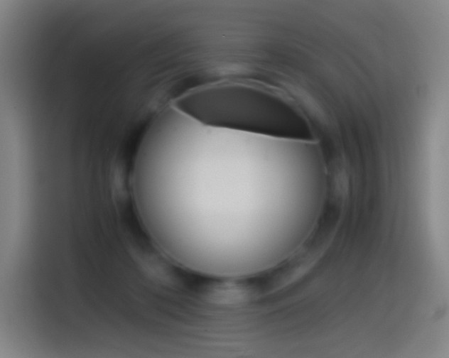 X0000114560316200910191016