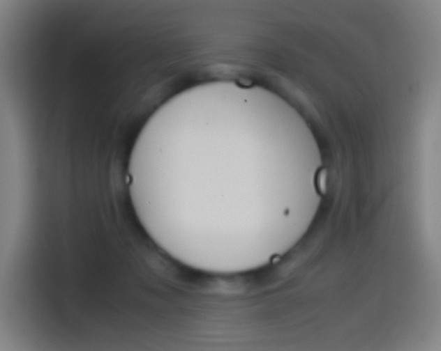 X0000114560317200910191016
