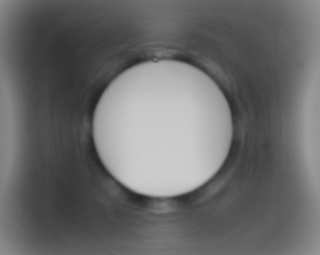 X0000114560321200910191016