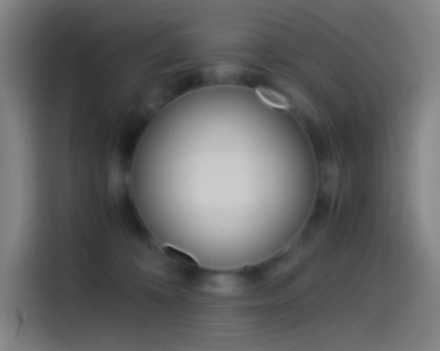 X0000114560324200910191016