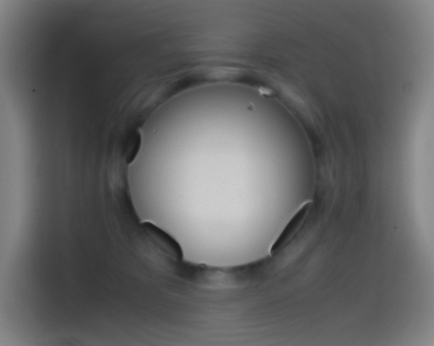 X0000114560325200910191016