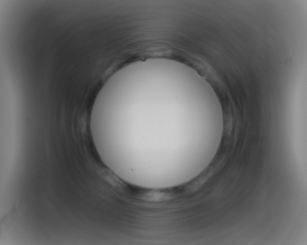 X0000114560326200910191016