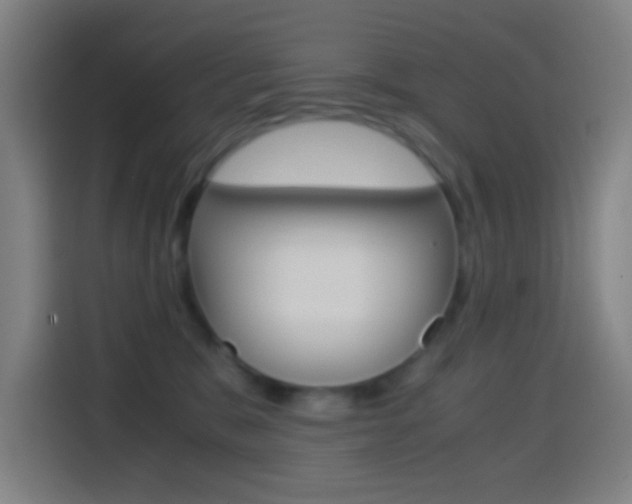 X0000114560327200910191016