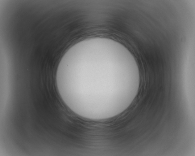 X0000114560328200910191016