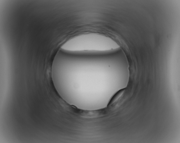 X0000114560329200910191016