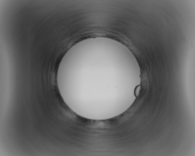 X0000114560330200910191016