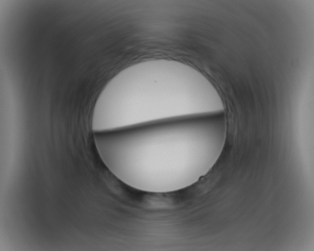 X0000114560331200910191016