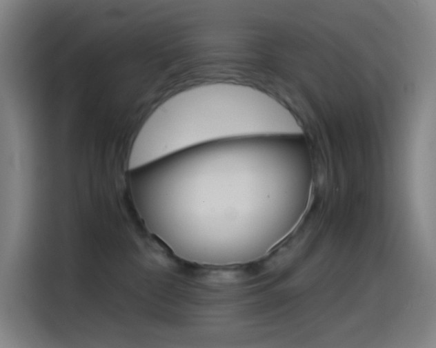 X0000114560332200910191016